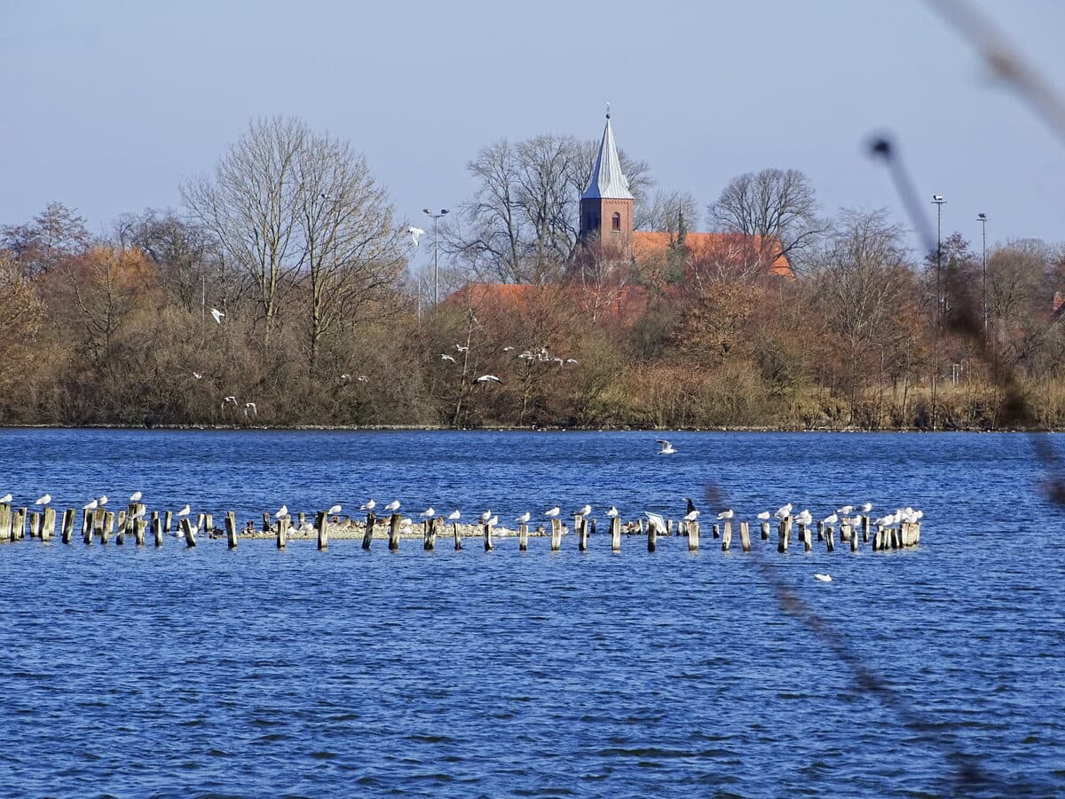 Barghauser See, Landschaftsschutzgebiet bei Fedderwarden
